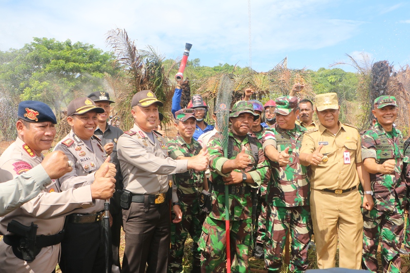 hutan 2