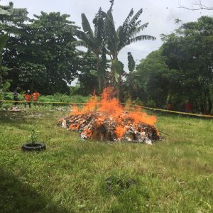 IMG-20170117-WA0027