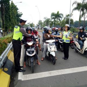 bunga dan pulpen