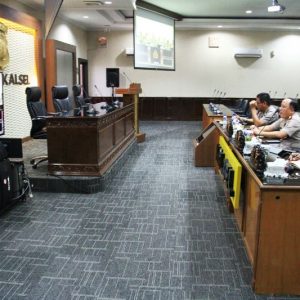vicon kapolda2