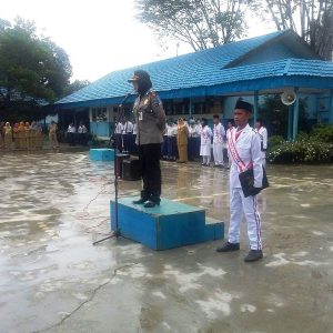 Apel-2