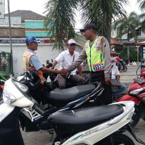 parkir liar